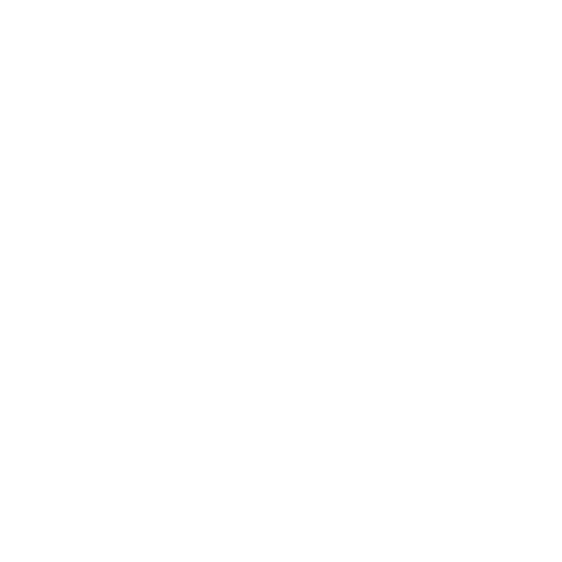 The Pilates Co
